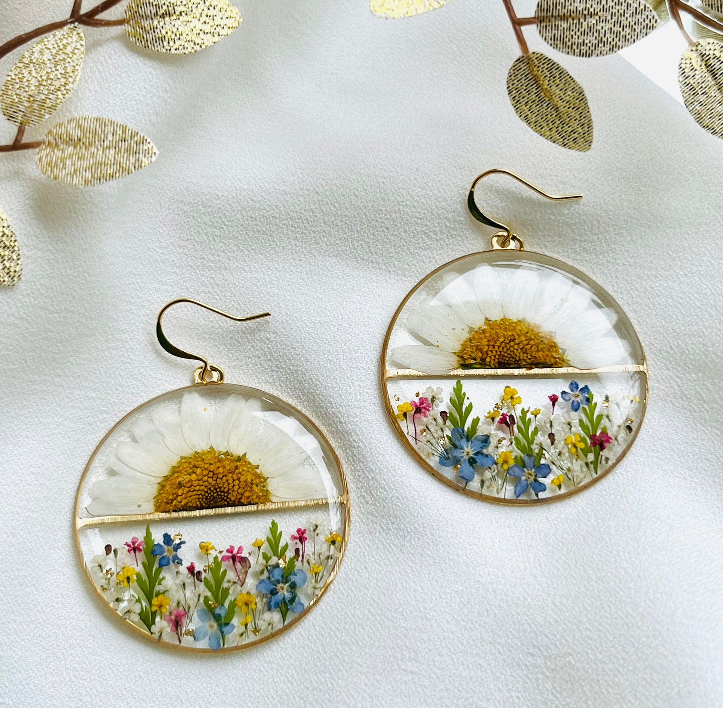 Pressed Flowers | Daisy Sunrise