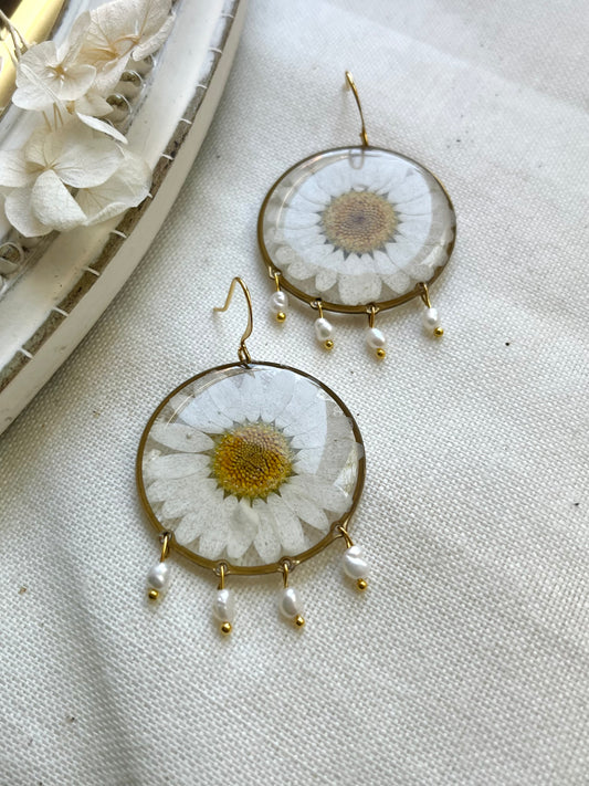 Pressed Flowers | Daisy | Earrings