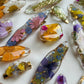 Pressed Flowers | Barrette