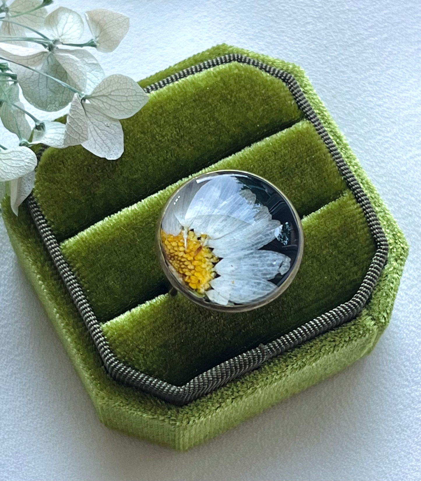 Pressed Flowers | Stainless Steel | Daisy Ring | Adjustable