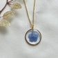 Pressed Flowers | Forget Me Not | Necklace