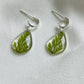 Fern Earrings