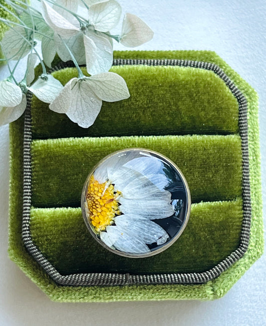 Pressed Flowers | Stainless Steel | Daisy Ring | Adjustable