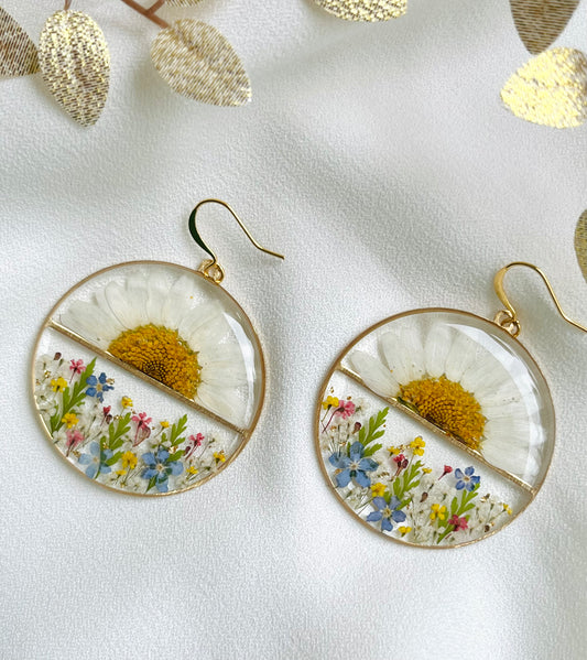 Pressed Flowers | Daisy Sunrise