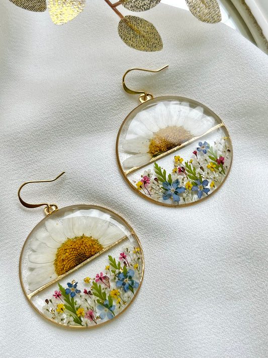 Pressed Flowers | Daisy Sunrise