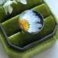 Pressed Flowers | Stainless Steel | Daisy Ring | Adjustable
