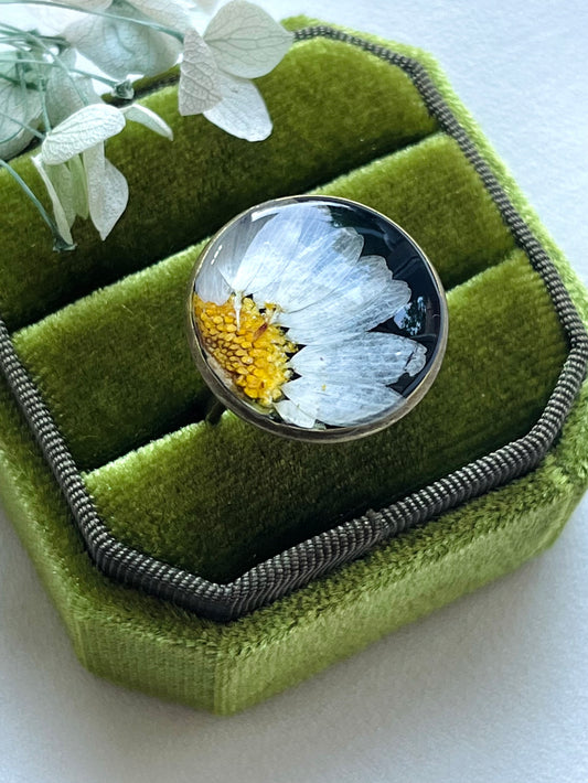 Pressed Flowers | Stainless Steel | Daisy Ring | Adjustable