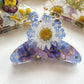 Pressed Flowers | Claw Clips
