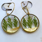 Pressed Botanicals | Earrings