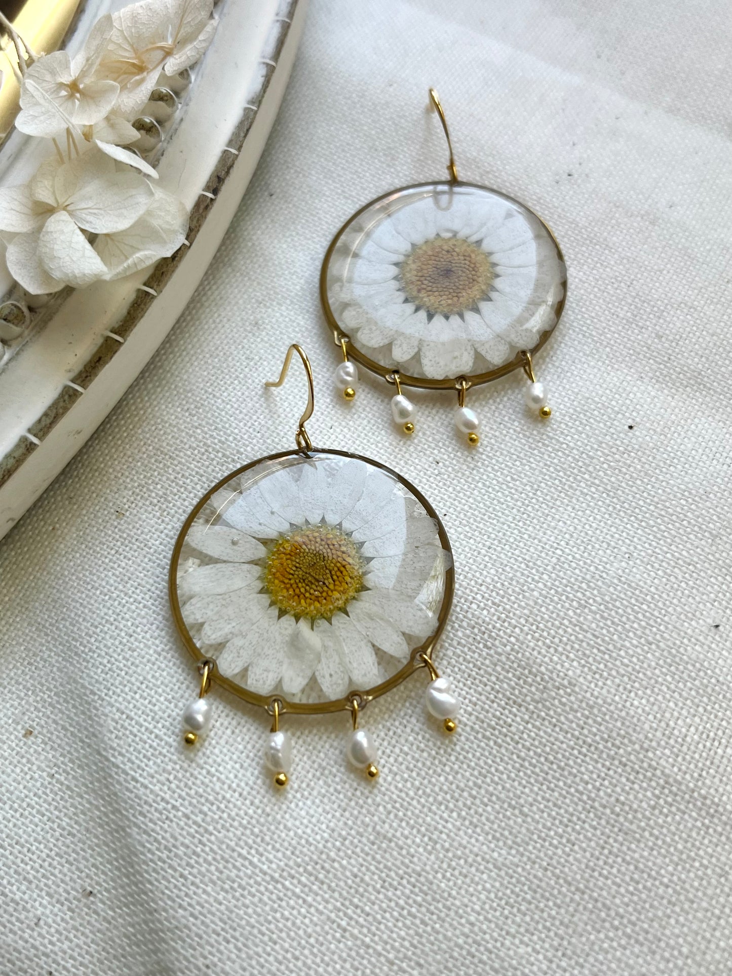 Pressed Flowers | Daisy | Earrings