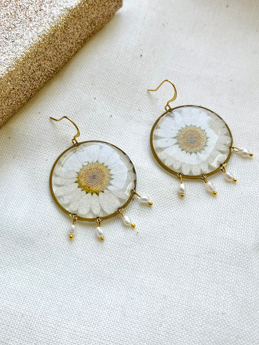 Pressed Flowers | Daisy | Earrings