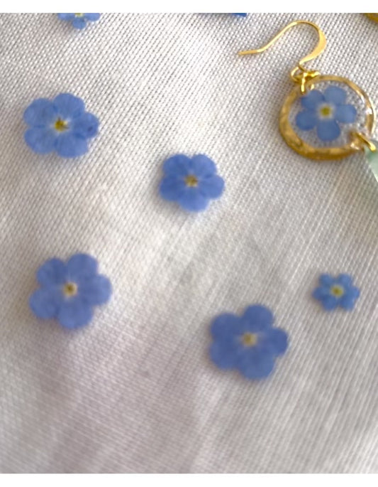Pressed Flowers | Dangle Earrings | Forget-me-not
