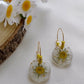 Pressed Flowers | Sunshine Daisy Earrings
