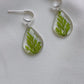 Fern Earrings