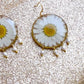 Pressed Flowers | Daisy | Earrings