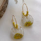Pressed Flowers | Sunshine Daisy Earrings